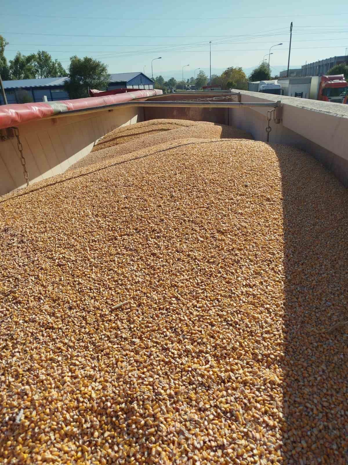 Fields and harvest — OKTUM 11