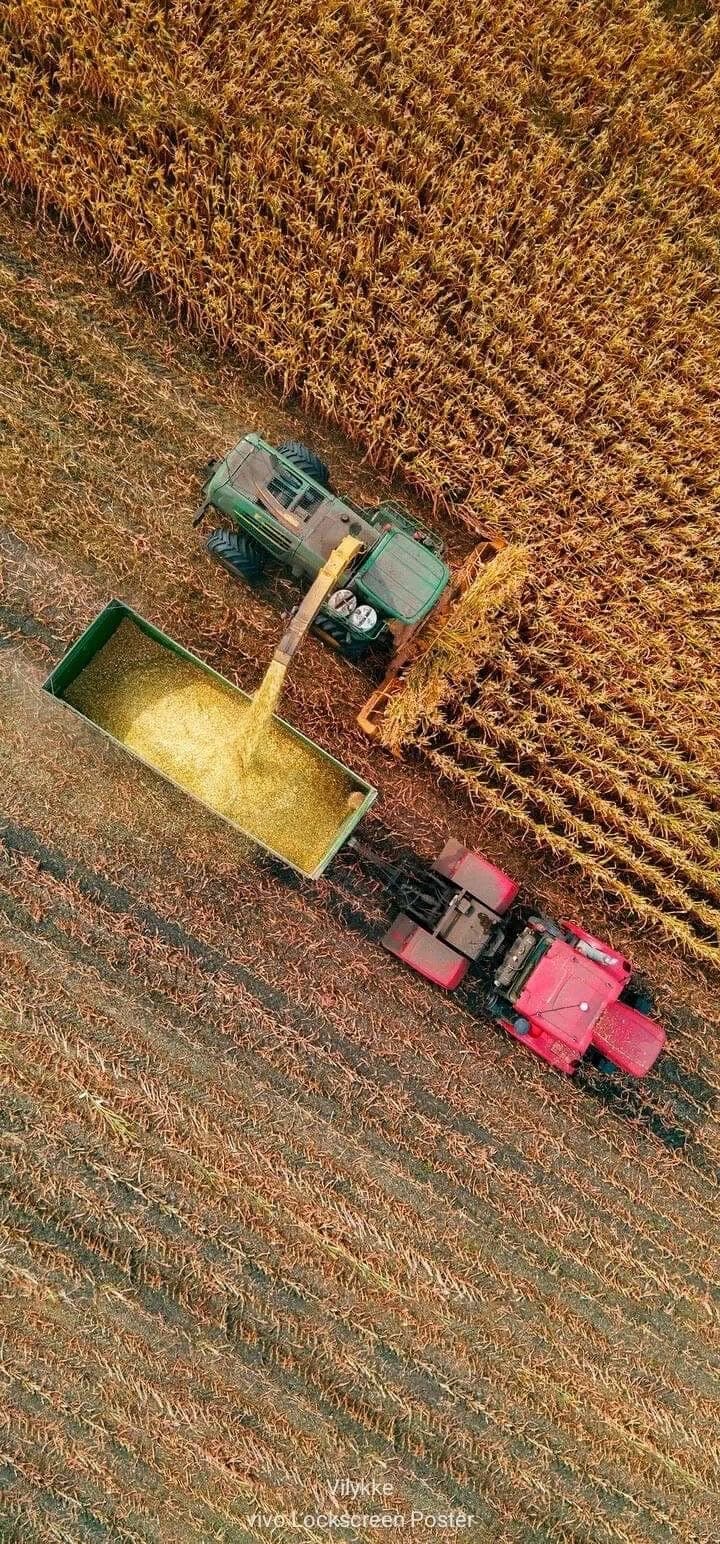 Fields and harvest — OKTUM 22